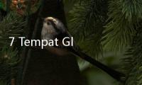 7 Tempat Glamping Murah di Bogor, Cocok buat Anak Libur Sekolah