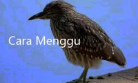 Cara Menggunakan Soda Api untuk Saluran Mampet, Jangan Sembarangan