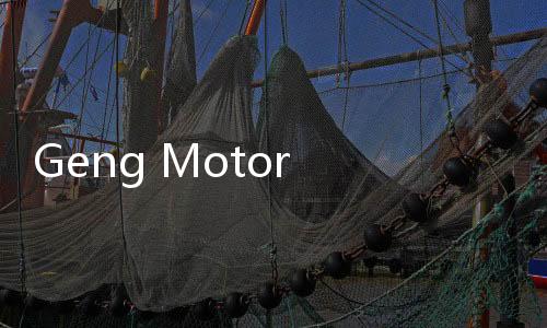 Geng Motor Oy