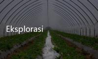 Eksplorasi Taman dan Waktu dalam Tema Met Gala Tahun Ini
