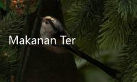 Makanan Tertentu Ditemukan Picu Mimpi Buruk, Hindari Jelang Tidur