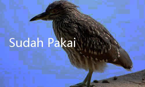 Sudah Pakai KB Tapi Tetap Bobol? Ini Penjelasan Bidan