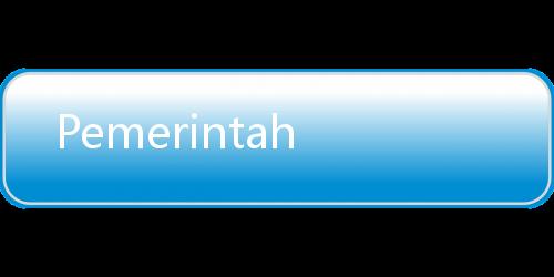 Pemerintah