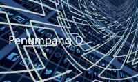 Penumpang Ditangkap Petugas Bandara Usai Nekat Bawa Tengkorak Buaya