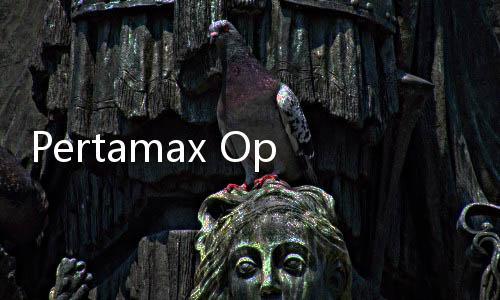 Pertamax Oplosan Pertalite, BPKN Harap Masyarakat Punya Bukti: Gugat dan Minta Ganti Rugi