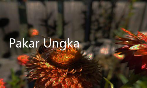 Pakar Ungkap Urgensi RUU Penilai untuk Lindungi Profesi dan Dorong Nilai Tambah Aset