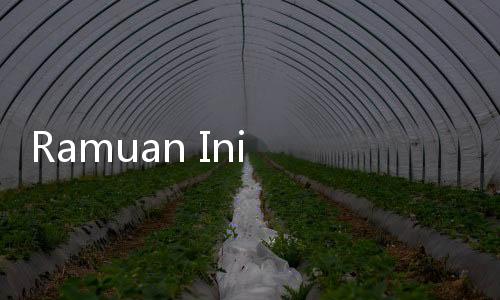 Ramuan Ini Ampuh Usir Cacing di Kamar Mandi