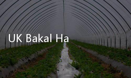 UK Bakal Hadirkan Perguruan Tinggi di RI dengan Biaya Terjangkau
